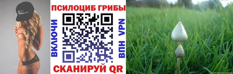 Галлюциногенные грибы MAGIC MUSHROOMS  сколько стоит  Абинск 
